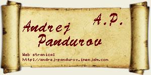 Andrej Pandurov vizit kartica